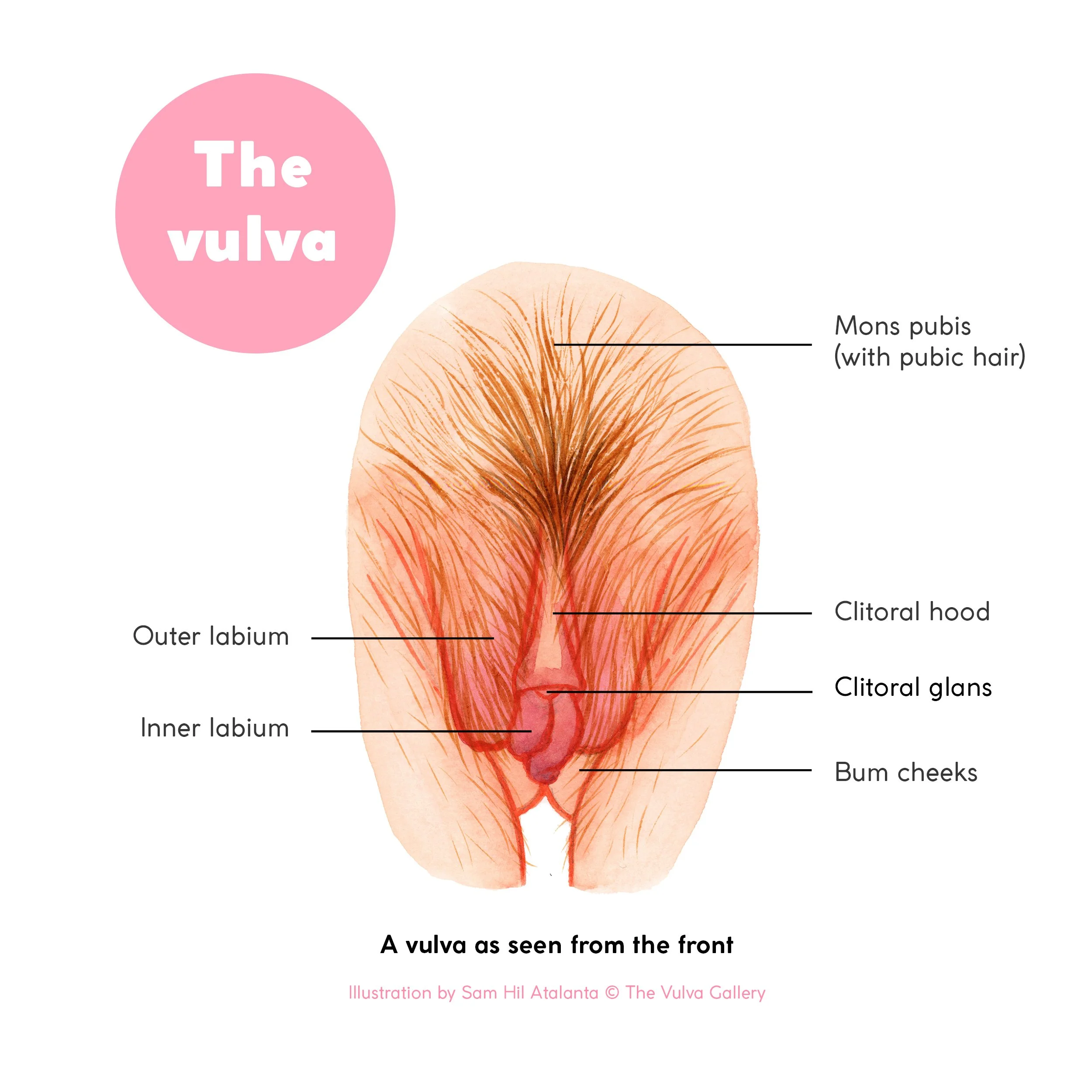 Жас әйелдердің қатысуымен ресейлік порно видео
